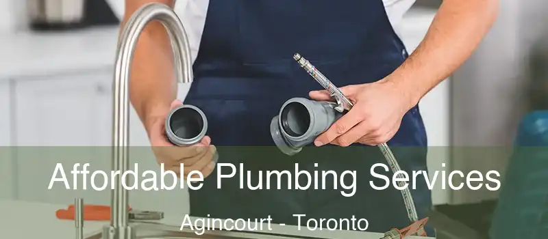 Affordable Plumbing Services Agincourt - Toronto