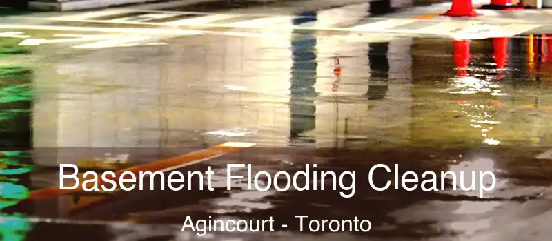 Basement Flooding Cleanup Agincourt - Toronto
