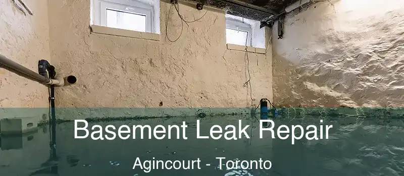 Basement Leak Repair Agincourt - Toronto