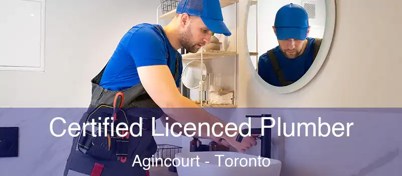 Certified Licenced Plumber Agincourt - Toronto