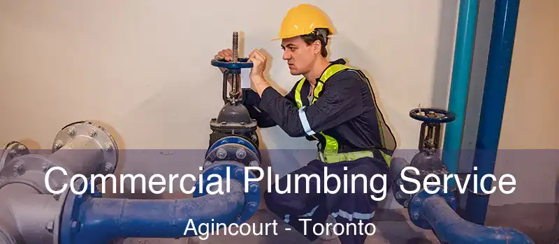 Commercial Plumbing Service Agincourt - Toronto