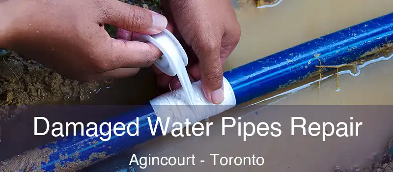 Damaged Water Pipes Repair Agincourt - Toronto