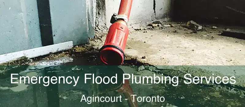 Emergency Flood Plumbing Services Agincourt - Toronto