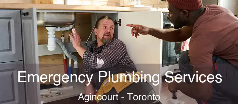 Emergency Plumbing Services Agincourt - Toronto