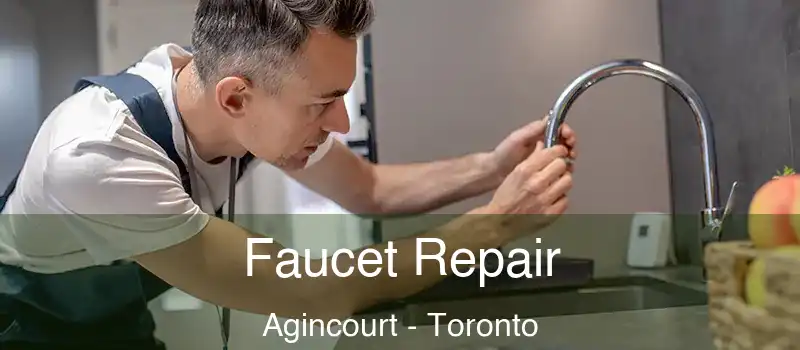 Faucet Repair Agincourt - Toronto