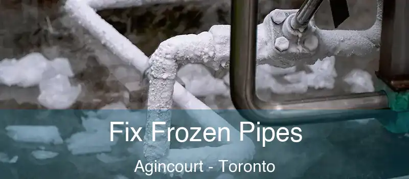 Fix Frozen Pipes Agincourt - Toronto