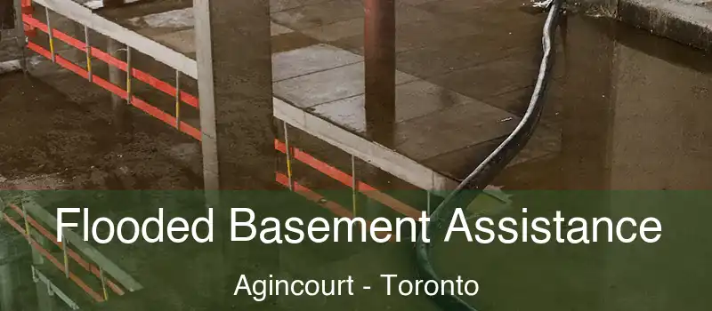 Flooded Basement Assistance Agincourt - Toronto