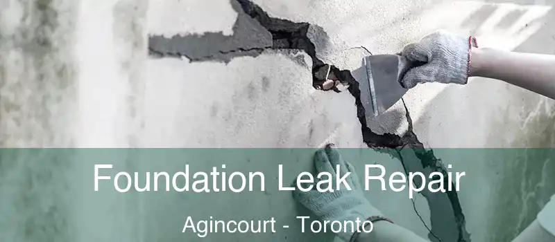 Foundation Leak Repair Agincourt - Toronto