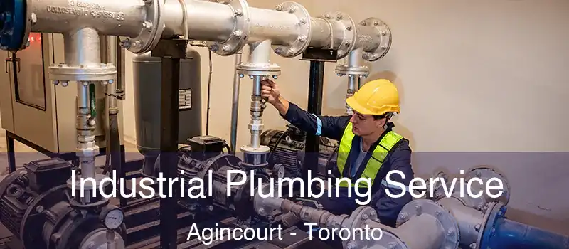Industrial Plumbing Service Agincourt - Toronto