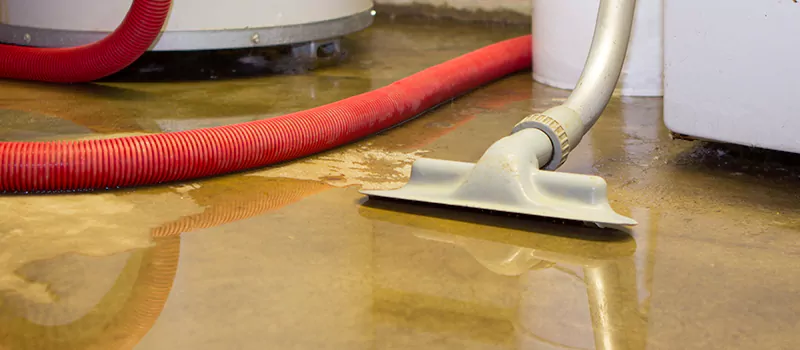 Professional Sewer Backup Cleanup Services in Agincourt, Toronto