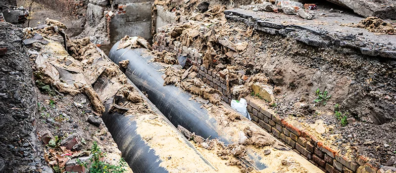 Commercial Sewer Tree Roots Damage Solutions in Agincourt, Toronto