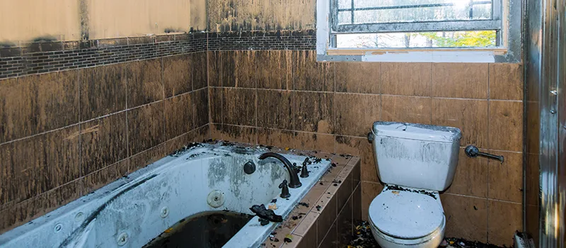 Residential Water Damage Restoration in Agincourt, Toronto