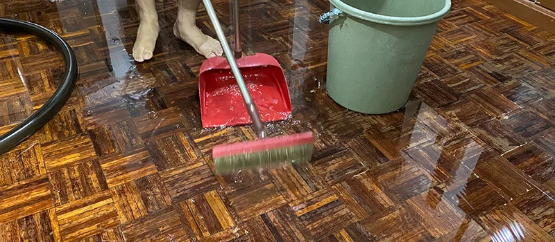 Water Removal And Restoration Services in Agincourt, Toronto