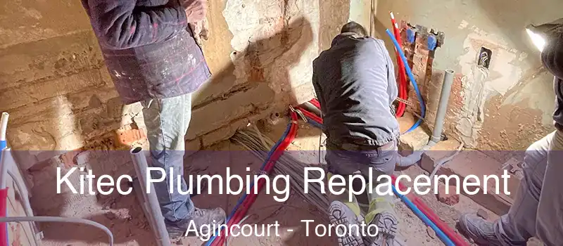 Kitec Plumbing Replacement Agincourt - Toronto