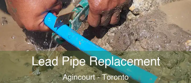 Lead Pipe Replacement Agincourt - Toronto