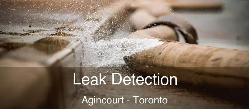 Leak Detection Agincourt - Toronto