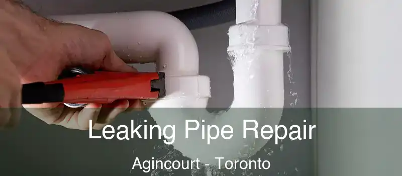 Leaking Pipe Repair Agincourt - Toronto