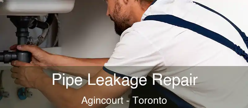 Pipe Leakage Repair Agincourt - Toronto