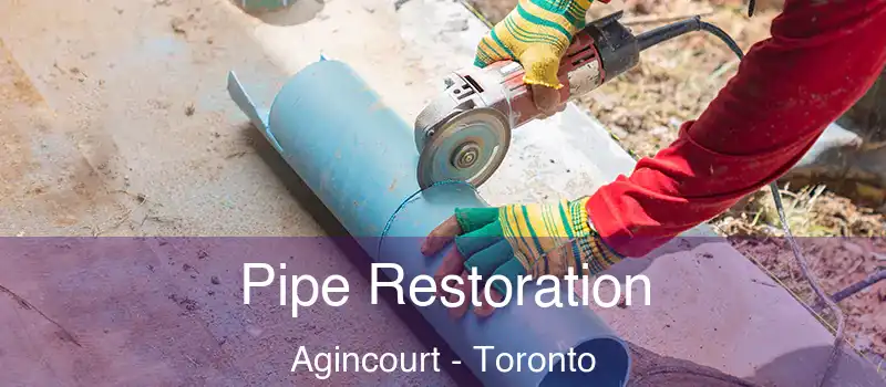 Pipe Restoration Agincourt - Toronto