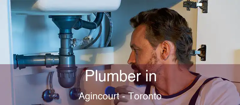 Plumber in Agincourt - Toronto
