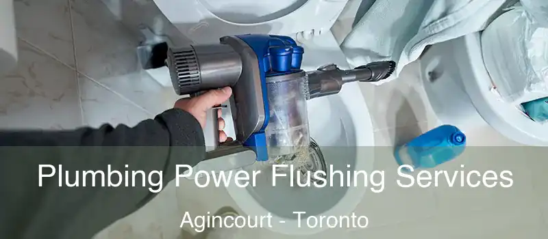 Plumbing Power Flushing Services Agincourt - Toronto
