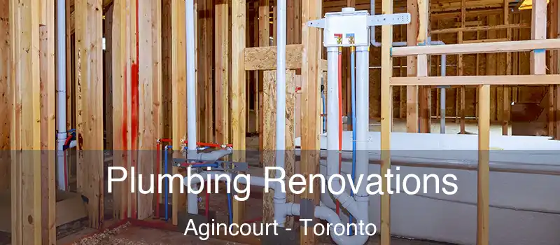 Plumbing Renovations Agincourt - Toronto