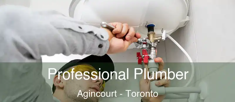 Professional Plumber Agincourt - Toronto