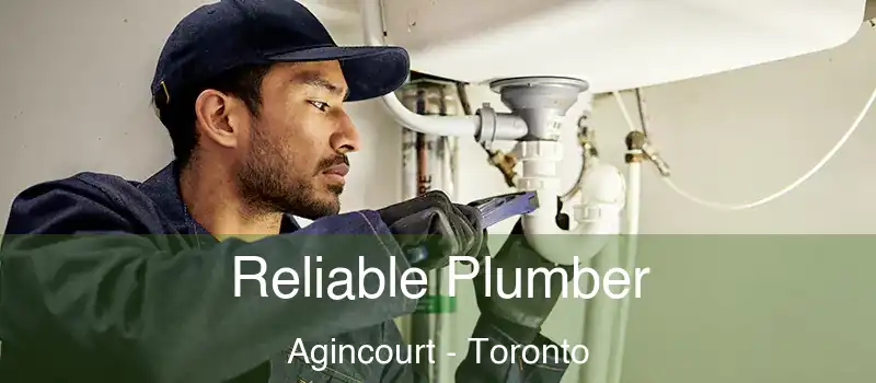 Reliable Plumber Agincourt - Toronto