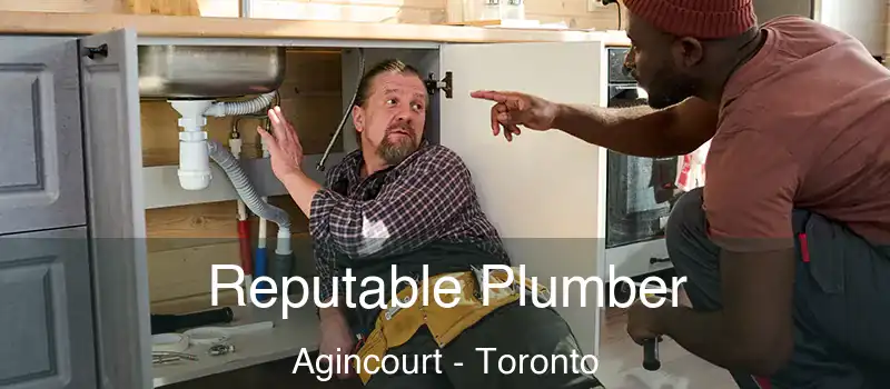 Reputable Plumber Agincourt - Toronto