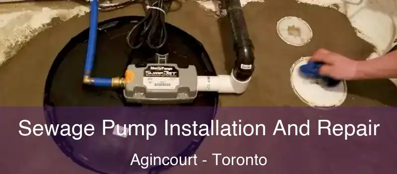 Sewage Pump Installation And Repair Agincourt - Toronto