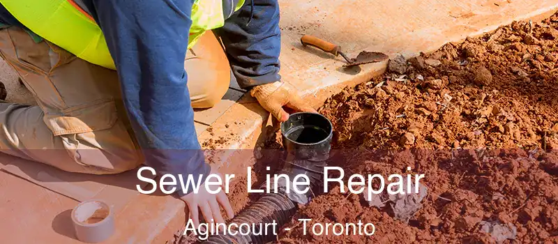 Sewer Line Repair Agincourt - Toronto