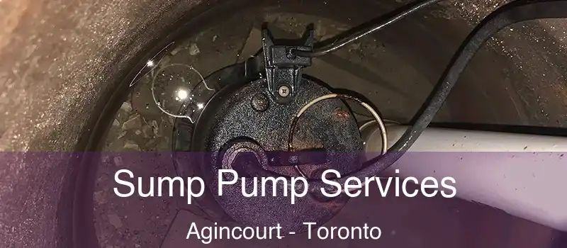 Sump Pump Services Agincourt - Toronto
