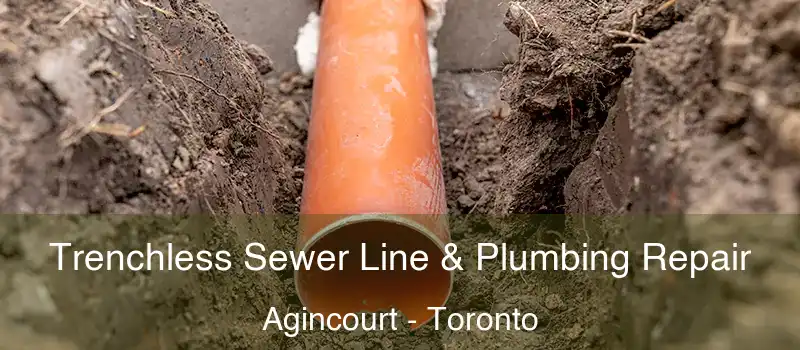 Trenchless Sewer Line & Plumbing Repair Agincourt - Toronto