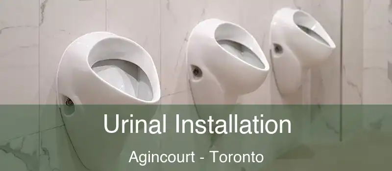 Urinal Installation Agincourt - Toronto