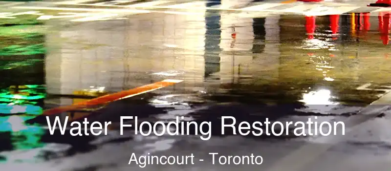 Water Flooding Restoration Agincourt - Toronto