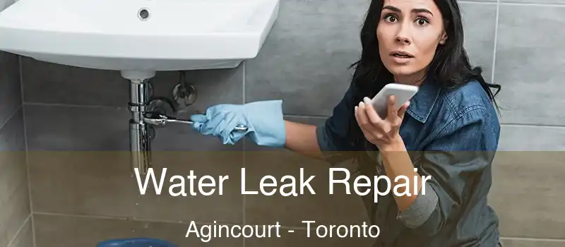 Water Leak Repair Agincourt - Toronto