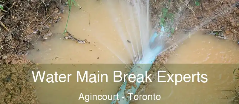 Water Main Break Experts Agincourt - Toronto