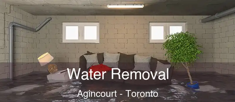 Water Removal Agincourt - Toronto