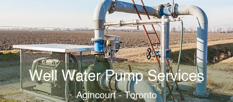 Well Water Pump Services Agincourt - Toronto